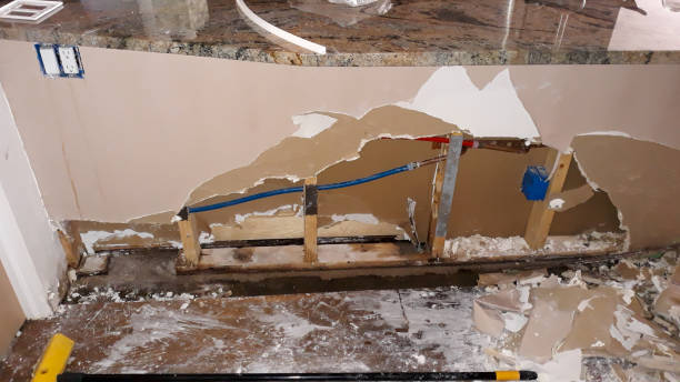Best Flood damage cleanup  in Grand Bay, AL